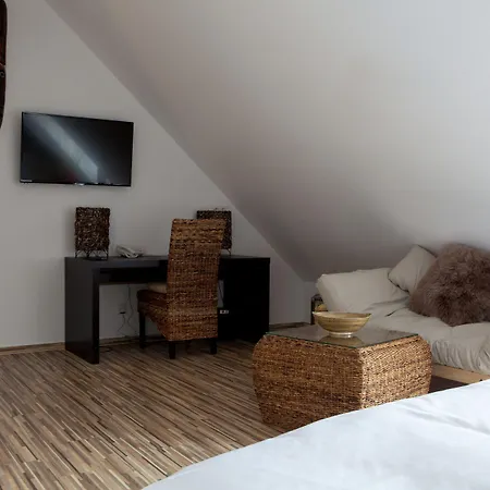 Hotel Koruna 4*