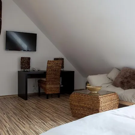 Hotel Koruna 4*