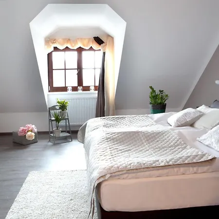 Hotel Koruna 4*